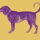 Logo FlevosWeelde