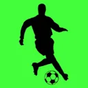 Logo van INTERSCOUT