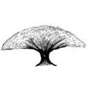 Logo Treetop Tables