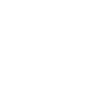 Logo ESP Consultancy BV