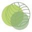 Logo Huiting Uitvaartverzorging