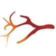 Logo Vasculitis Expertise Center Groningen