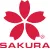Logo Young Sakura