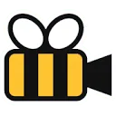 Logo van VideoBee.io