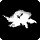 Logo AFTERNATURE productions