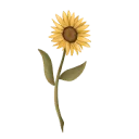 Logo Via Trox Systeemtherapie