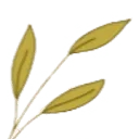 Logo van DENKADVISEREN.NL