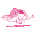 Logo Stichting De Veluweloop