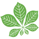 Buitengewoon psychologen logo