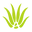 Logo Royal Aruba Aloe