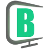 Logo BORN-IT Professionals