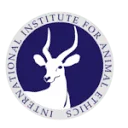 Logo International Institute for Animal Ethics