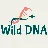 Logo Wild DNA