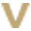 Logo Master in BI