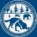 Logo Scent Imprint Conservation Dogs