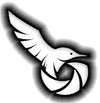 Logo ShutterSparrow Photography