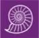 Logo Brazilian Curiosa BV