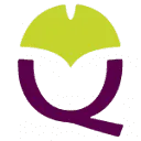 Logo Qisolute advocaten