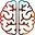 Logo Healthy Brain Study