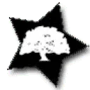 Logo Lost Woods Films