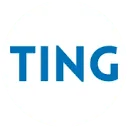 Logo TING studiecoaching