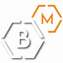 Logo Bricks Management