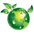Logo RM Plants