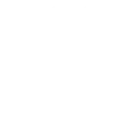 Logo Little Concepts BV