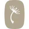 Logo van the Touch Studio