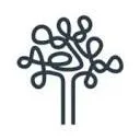 Logo Taytelbaum Psychologen Amsterdam