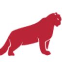 Logo Snow Leopard Adventures NL