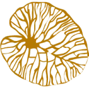 Logo Health AND Healing Centrum Zutphen