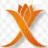 Xadi Your AI CFO Cofounder logo