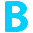 Logo Bitmetric BV